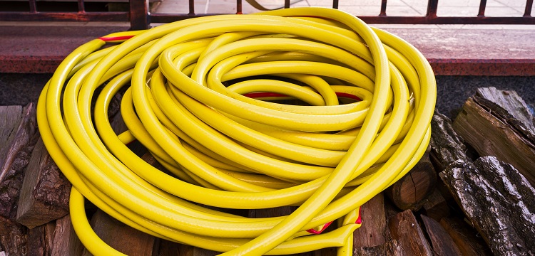 你知道流感病毒是怎么檢測的嗎 ?ISO10993-5的體外細(xì)胞毒性測試應(yīng)該怎么做 