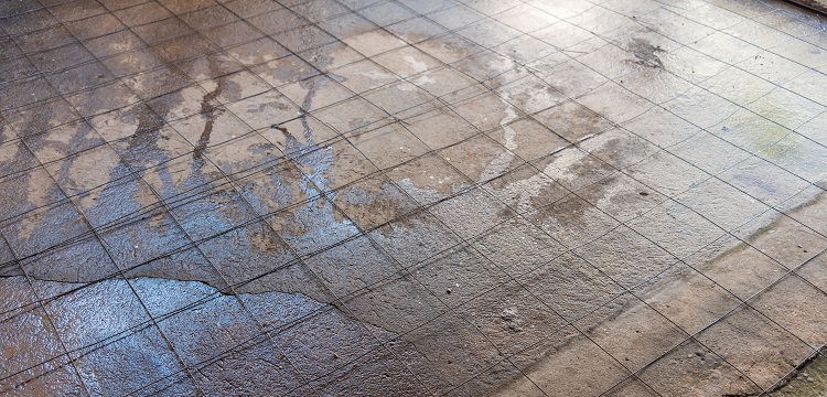 媒體報道多個電商平臺有售「造假消毒液」，用「甲醇冒充酒精」售賣，甲醇對人體的危害有多大 如何辨別 ?寵物醫院用什么消毒液? 健明迪檢測