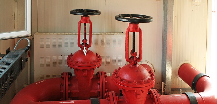 微生物安全健康網，微生物檢測如何規范操作 ?在微生物檢測實踐中，什么時候需要檢測參考菌群 參考菌群的檢測有何意義 ?健明迪