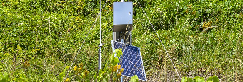 城市供水及飲用水中微生物如何快速檢測 這幾個單位的對比給出答案！?微生物高分文章必備分析LEfSe?健明迪