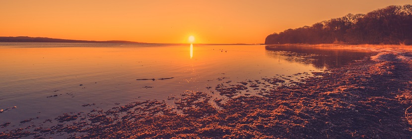 赤潮監(jiān)測(cè)