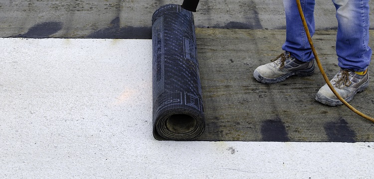 人肝癌（HCC）異種移植小鼠模型