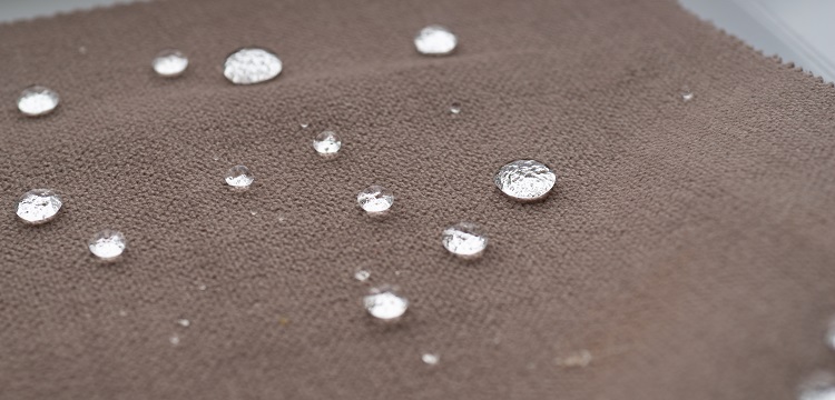 結核菌H37RV尾靜脈感染FIM小鼠模型