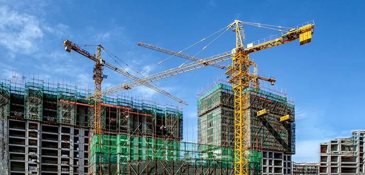 乙嘧酚磺酸酯檢測(cè)