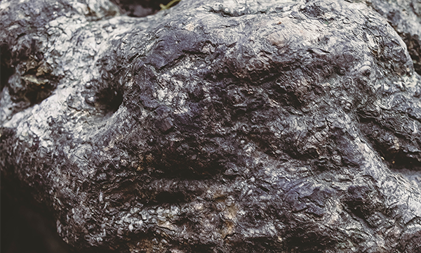 二硝基氯苯檢測