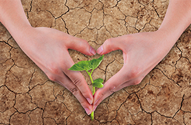 胍基乙酸檢測(cè)