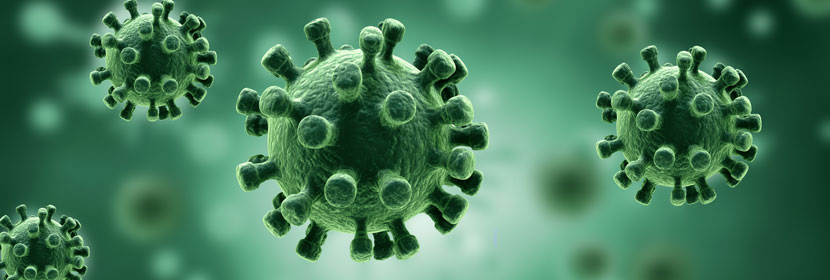 防霉劑檢測(cè)