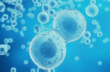 混泥土檢測(cè)