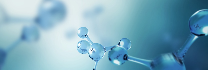 枯草芽孢桿菌檢測