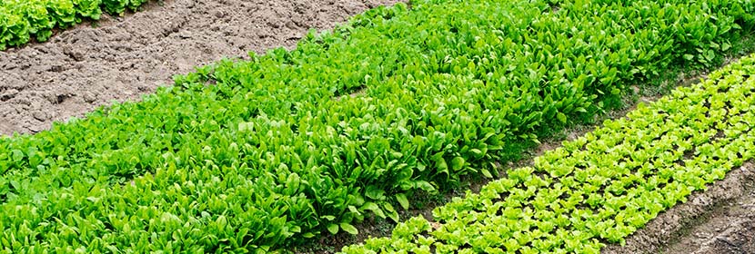 管道涂層檢測(cè)