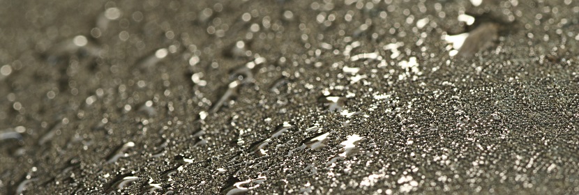 丙酮酸檢測(cè)