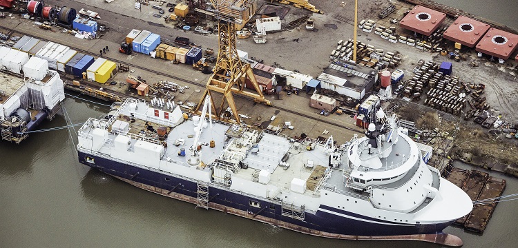 高蕓苔素內酯檢測