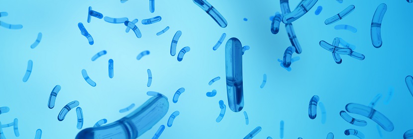 遺傳學(xué)毒理試驗(yàn)