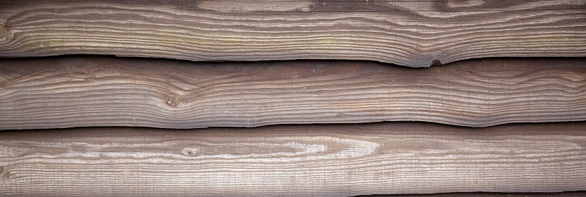 劃痕實(shí)驗(yàn)