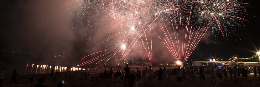 煙花爆竹產(chǎn)品-九大類、煙花爆竹藥劑檢測(cè)