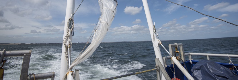 一次性使用輸血器檢測(cè)