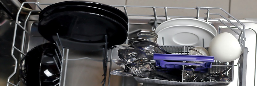 沙門(mén)氏菌檢測(cè)