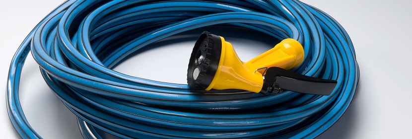 丙酮酸脫羧酶檢測