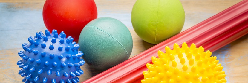 魚急性毒性試驗(yàn)