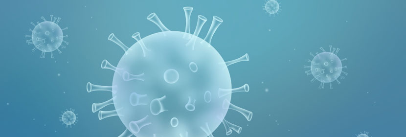 基因突變試驗(yàn)