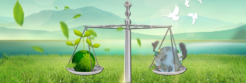 長(zhǎng)期高尿酸血癥慢性腎損傷樹鼩模型