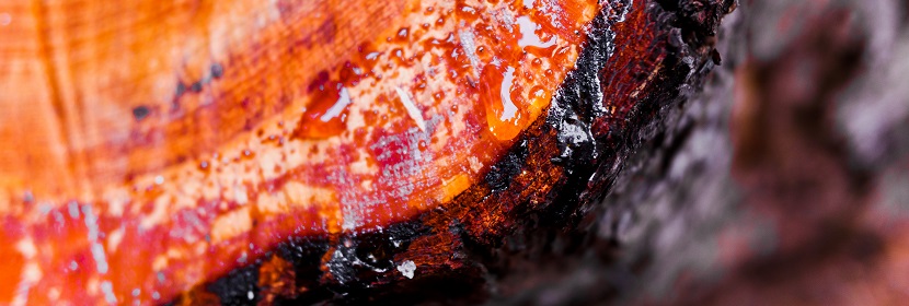 涂料用天然樹脂乳液檢測