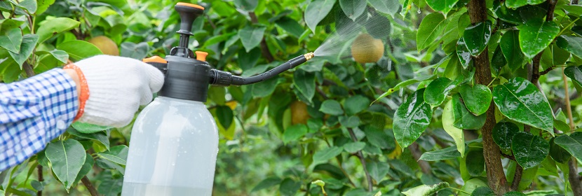 農(nóng)藥檢測(cè)檢驗(yàn)