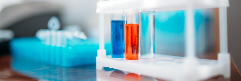 第一基準試劑檢測