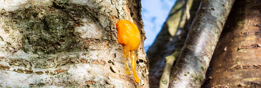 工業(yè)三氧化二硼(硼酐)檢測