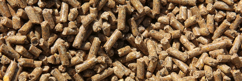 飼料中多氯聯苯檢測