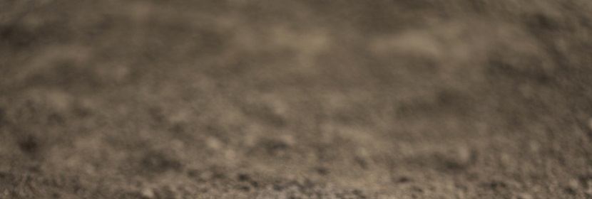 土壤及沉積物檢測(cè)